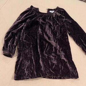 C de C Velvet Dress in Deep Brown